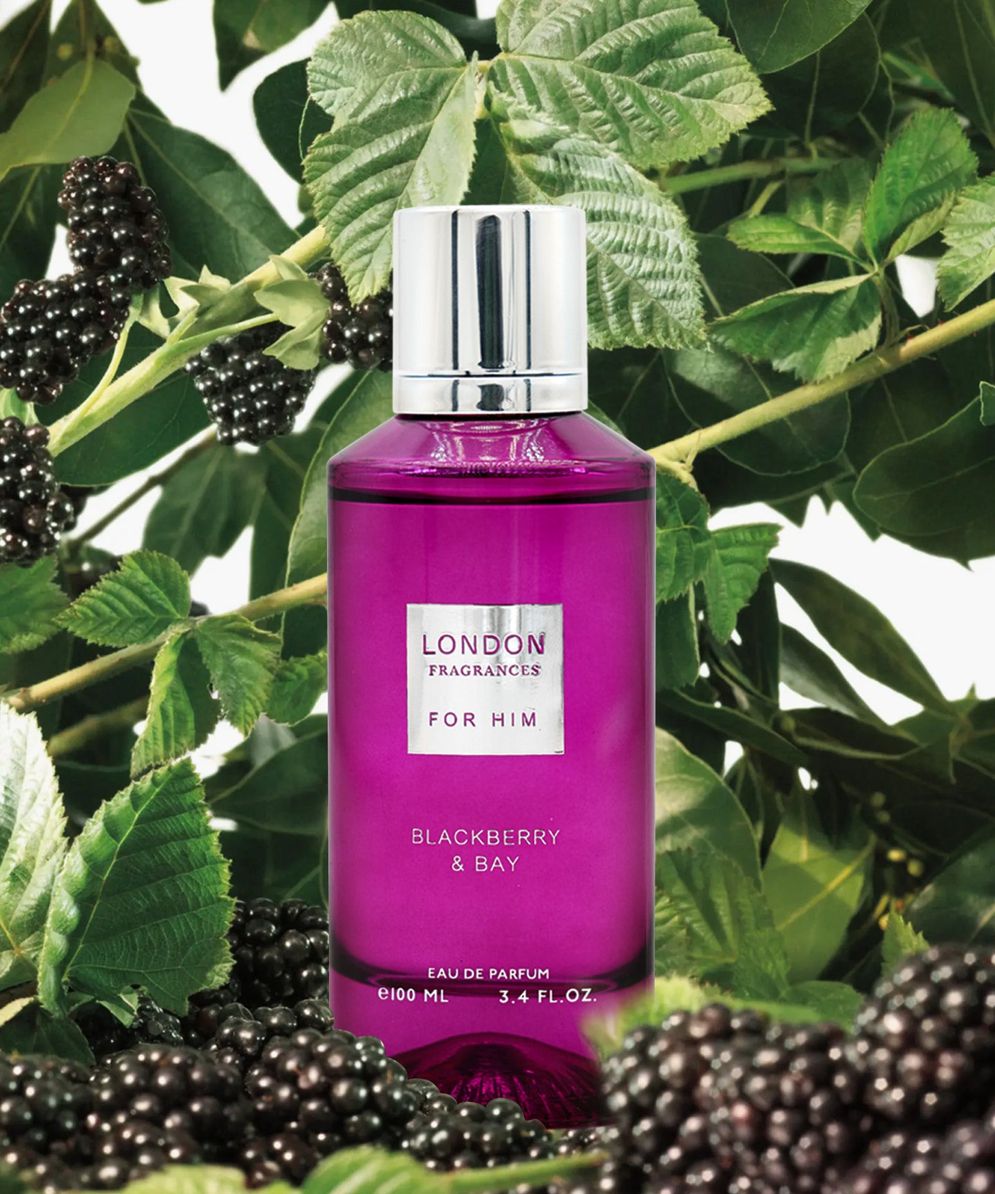 London Fragrances For Him Blackberry &amp; Bay - Eau de Parfum 100ml